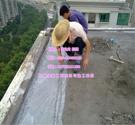 梅州防水補漏與水電維修專家 宏禹防水，專業(yè)服務全心為你